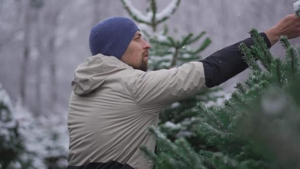 Άνθρωπος Επιλέγει Χριστουγεννιάτικο Δέντρο Μια Υπαίθρια Αγορά Χιονόπτωση Μιλώντας Στο — Αρχείο Βίντεο