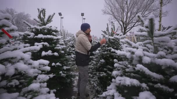 Μπαμπάς Αγοράζει Χριστουγεννιάτικο Δέντρο Και Μιλάει Στο Τηλέφωνο Ψώνια Στην — Αρχείο Βίντεο