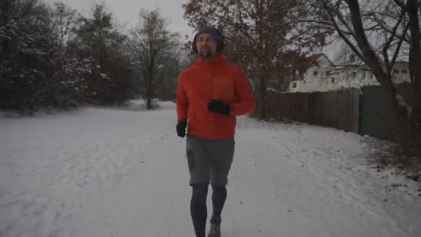 クロスカントリーで走るヘッドセットのアスリート ドイツの冬の公園で雪に覆われたトレイル ジョガーは冬の日にヨーロッパの田舎でジョギングをしながら音楽を聴く 雪の上を走る — ストック動画