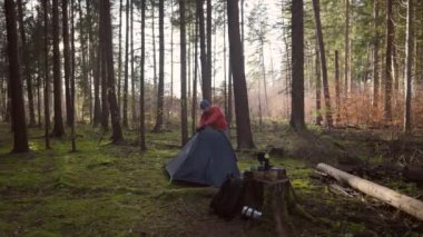Tourist makes camp in woods, sets up tent in meadow in fall forest, prepares for an overnight stay in campsite. Backpacker builds tent on solo autumn trip in forest. Hiking and staying in nature. 