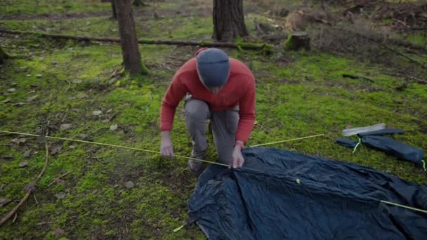 Турист Робить Табір Лісі Встановлює Намет Лузі Осінньому Лісі Готується — стокове відео