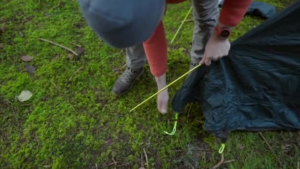 Man Hiker Sets Camping Tent Fall Forest Backpacking Expedition Traveler — Stock Video