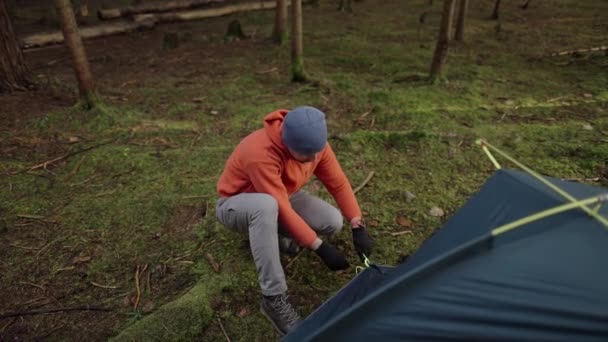 男ハイカーはバックパッキング遠征に秋の森の中でキャンプテントを設定します 旅行者は秋に荒野に一晩テントを設定します 観光やトレッキングのテーマ 週末の野外活動 — ストック動画