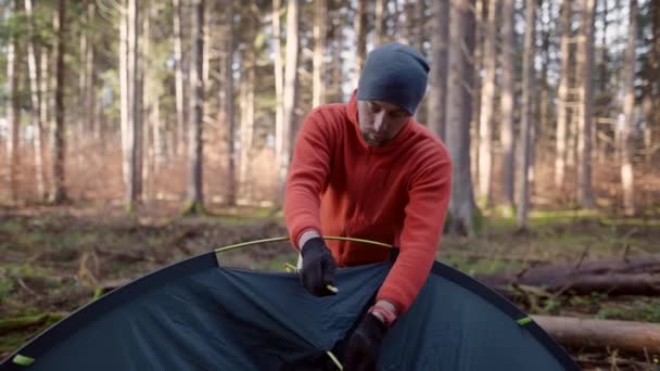 Tourist Makes Camp Woods Sets Tent Meadow Fall Forest Prepares — Vídeos de Stock