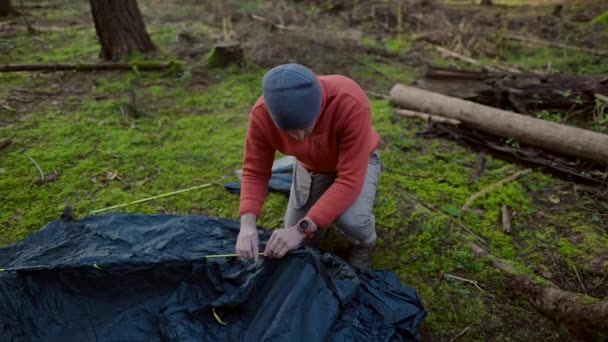 Турист Разбивает Лагерь Лесу Устанавливает Палатку Лугу Осеннем Лесу Готовится — стоковое видео