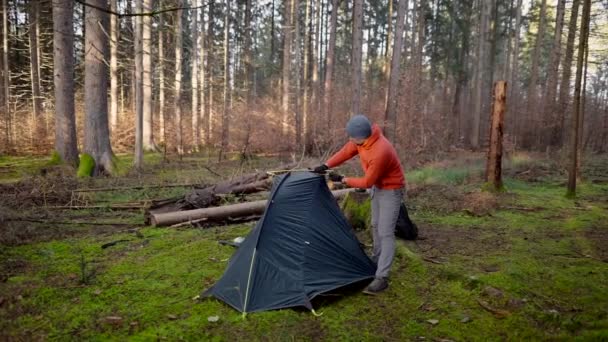 Tourist Makes Camp Woods Sets Tent Meadow Fall Forest Prepares — Vídeos de Stock
