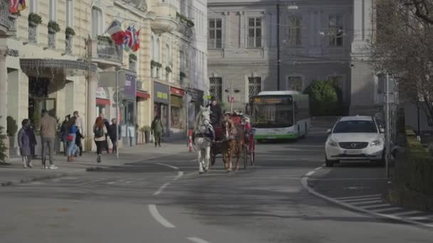 December 2022 Salzburg Austria Nostalgic Horse Driven Coach Giving Visitors — Video Stock
