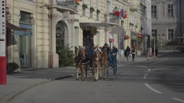 December 2022 Salzburg Austria Come Horse Drawn Carriage Coachman Tourists — Stock video