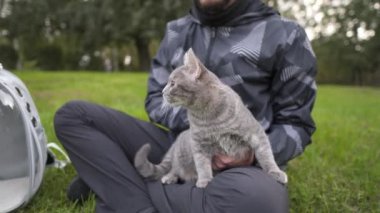 Spending time with pet outdoors. Pet cat was brought to park in animal carrier, clear bag for bringing kitty. Owner petting cat in nature. Bubble rucksack pet carrier for felines, travel by pets. 