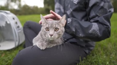 Caucasian man sits on the grass in the park and strokes a pet gray cat, bringing in an animal carrier, a transparent backpack. The theme is a walk with a domestic feline outdoors in cold weather. 