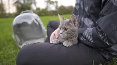 Spending time with pet outdoors. Pet cat was brought to park in animal carrier, clear bag for bringing kitty. Owner petting cat in nature. Bubble rucksack pet carrier for felines, travel by pets. 