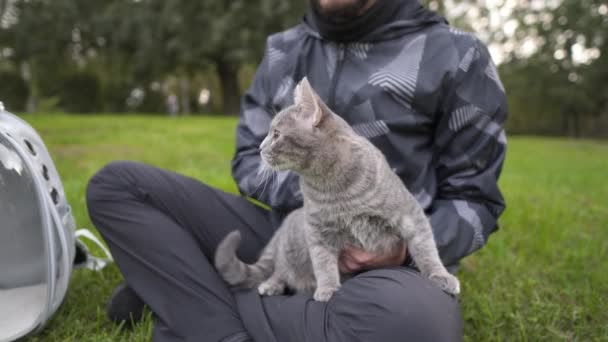 Spending Time Pet Outdoors Pet Cat Brought Park Animal Carrier — Vídeos de Stock