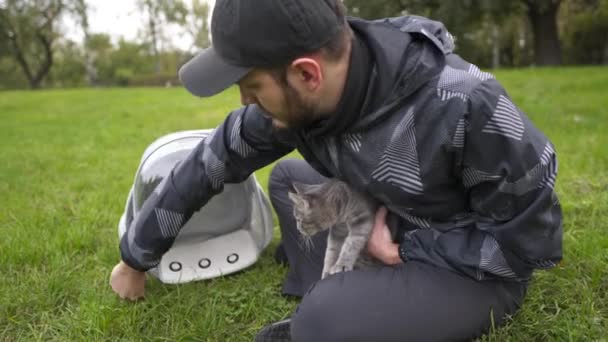 Having Time Outdoors Domestic Cat House Cat Carried Garden Animal — Stock videók