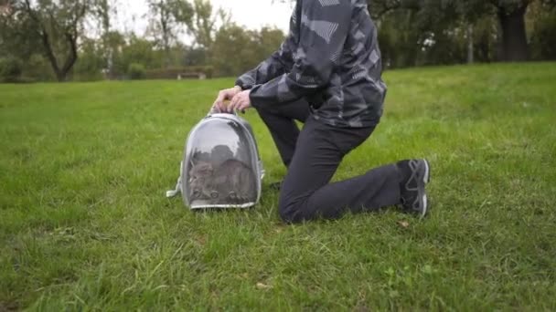 Spending Time Pet Outdoors Pet Cat Brought Park Animal Carrier — Stockvideo
