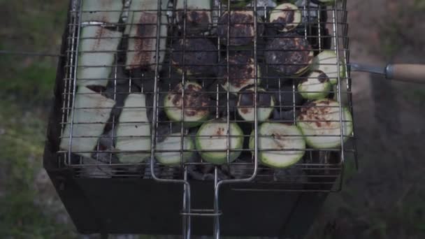 Vegetables Grilling Zucchini Lie Iron Grill Weekend Getaway Country House — Stock video