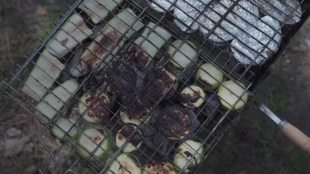 Burnt Grilled Vegetables Metal Grid Campfire Cooking Vegetables Charcoal Outdoors — Vídeo de stock