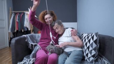 Kedi terapisi. Olgun kız, huzurevinde yaşlı anneyi ziyaret eder, onunla ve kanepede kedi yavrusuyla oynar. Yaşlı kadın gri İskoç heteroseksüel kedi yavrusuyla eğleniyor. Evcil hayvan ve aile.