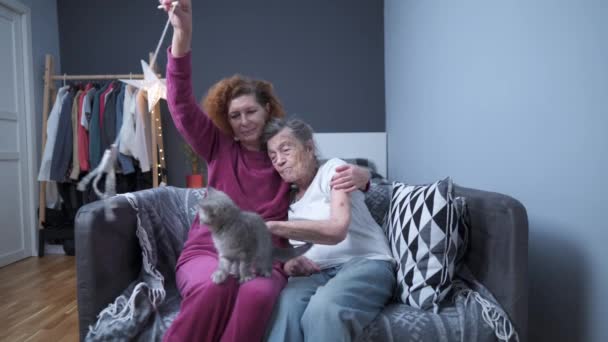 Anziani Pensionati Animali Domestici Domestico Animale Giocoso Madre Anziana Figlia — Video Stock