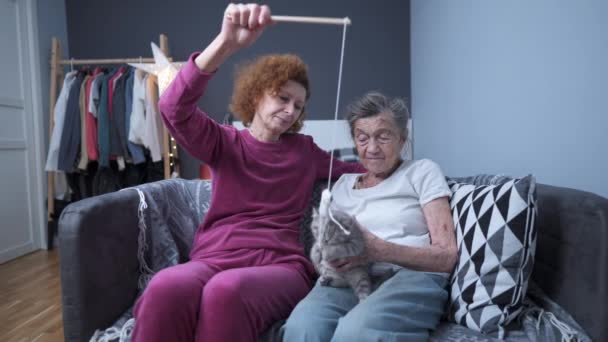 Terapia Kitty Día Los Abuelos Dos Ancianas Juegan Con Pequeño — Vídeo de stock