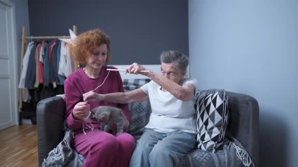 Katzentherapie Reife Tochter Besucht Seniorin Pflegeheim Spielt Mit Ihr Und — Stockvideo