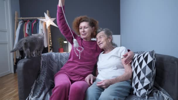 Nyugdíjas Öregek Állatok Háziállatok Hazai Játékos Állat Idősebb Anya Idős — Stock videók