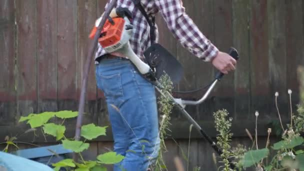 Ogrodnik Koszenie Trawy Przez Szczotkarza Ogrodzie Człowiek Ścinający Trawę Pomocą — Wideo stockowe
