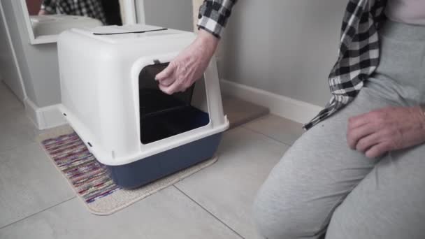 Старша Жінка Власник Дорослого Шотландського Коротковушного Кота Вчиться Використовувати Новий — стокове відео