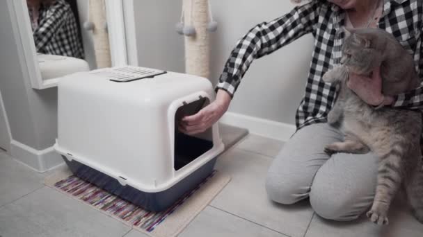 苏格兰一只成年直耳朵猫的高级女主人学习如何使用带有门的新的盖好的马桶盘 卫生和洗浴设备 女人向猫展示新的垃圾箱 — 图库视频影像