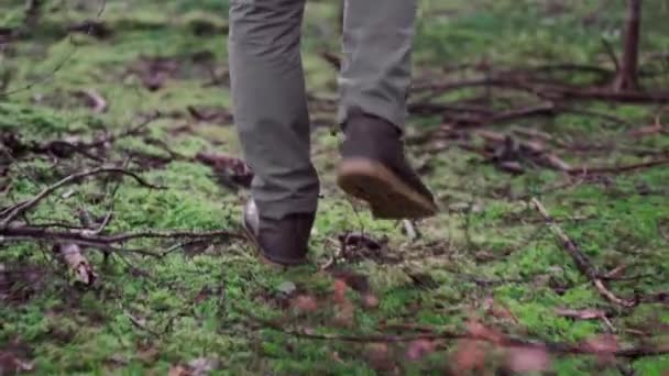 Feet Man Hiker Pants Boots Walk Dense Forest Moss Ground — Video Stock