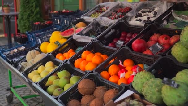 德国慕尼黑的Viktualienmarkt 在Marienplatz附近市场上的蔬果摊位 本地户外市场出售新鲜异国情调的水果 水果蔬菜销售摊位 — 图库视频影像