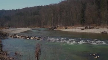 Münih yakınlarındaki güneşli bahar gününde Isar Nehri 'nin güzel manzarası. Almanya 'da doğa, orman ve dağ nehri Isar. Fluss Izar. Münih 'ten Isar nehrinin manzarası. Vahşi doğa ve berrak dağ nehri. 