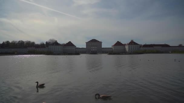 Nymphenburg Sarayı Yakınlarındaki Gölette Kuğular Münih Bavyera Almanya Beyaz Kuğular — Stok video