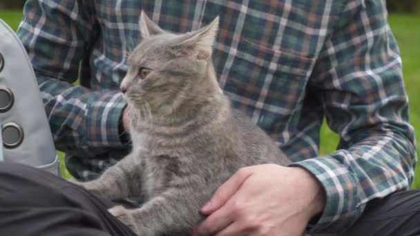 Evcil Hayvanımla Dışarıda Vakit Geçiriyorum Evcil Kedi Hayvan Çantasıyla Bahçeye — Stok video