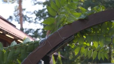 Profesyonel çiçekçi düğün kaydı için festival kemerini dekore ediyor. Kadın düğün dekoru kuruyor. Dekoratör, açık hava düğün törenini çiçekler ve yeşilliklerle süslüyor..