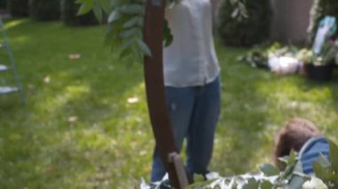 Profesyonel çiçekçi düğün kaydı için festival kemerini dekore ediyor. Kadın düğün dekoru kuruyor. Dekoratör, açık hava düğün törenini çiçekler ve yeşilliklerle süslüyor..