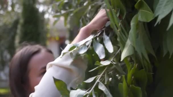 Флористы Монтируют Украшают Цветами Арку Свадебной Церемонии Декораторы Работающие Мероприятии — стоковое видео