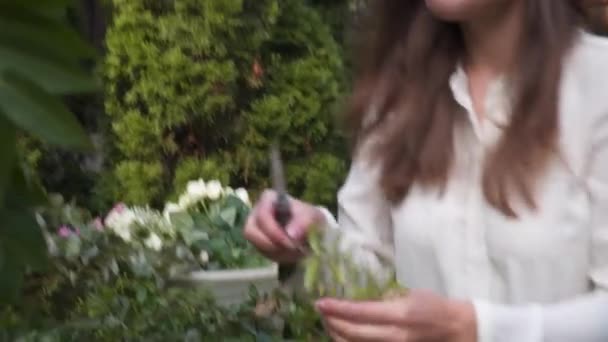 Professional Florist Work Young Beautiful Woman Makes Trendy Modern Bouquet — Stock Video