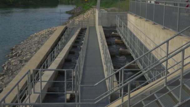 リーチ バイエルン ドイツ 移民のための魚の梯子と川で産卵 上流を続けることができるようにダムで具体的な魚の梯子 野生の魚のためのパス 川の魚の階段 — ストック動画