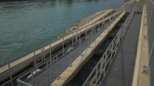 リーチ バイエルン ドイツ 移民のための魚の梯子と川で産卵 上流を続けることができるようにダムで具体的な魚の梯子 野生の魚のためのパス 川の魚の階段 — ストック動画