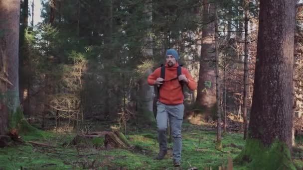 ハイキング アクティブな健康的なライフスタイル 休暇のコンセプト 男の深い森の中でリュックサックと放浪 独身男性は森の道に沿って行く 秋のシーズン ソロ屋外活動 — ストック動画
