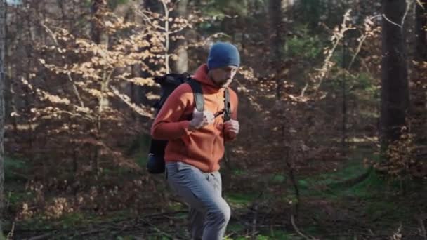 屋外の冒険家の男は 荒野での方法は バックパックと森の中をハイキング 秋の森の小道で一人でバックパッキング トレッキングコンセプト 秋の森を歩く旅人 北欧の自然を楽しむ — ストック動画