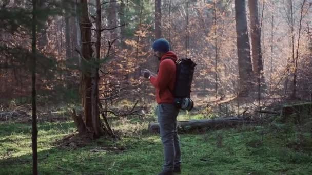Turysta Używać Smartfona Nawigacji Lesie Podczas Jesiennej Wyprawy Świeżym Powietrzu — Wideo stockowe