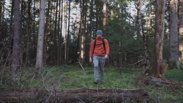 户外冒险家带着背包在森林中远行 远行于荒野之中 秋天的森林小径上一个人背包客 旅行的概念 旅行者在秋天的树林里散步 享受斯堪的纳维亚的自然美景 — 图库视频影像