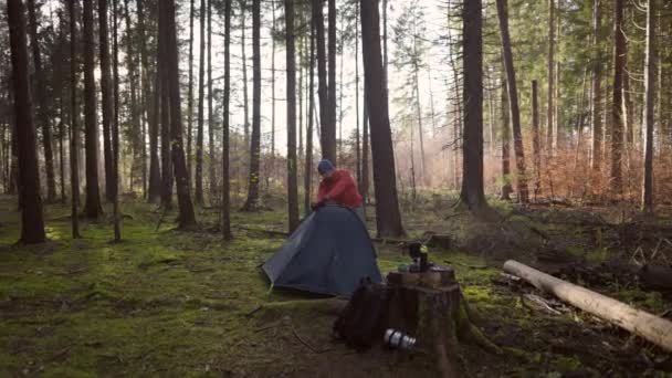 Tourist Makes Camp Woods Sets Tent Meadow Fall Forest Prepares — Stockvideo