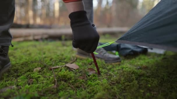 Man Hiker Sets Camping Tent Fall Forest Backpacking Expedition Traveler — Stok Video