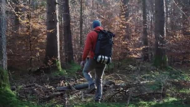 Homme Marchant Dans Une Forêt Automne Par Temps Froid Ensoleillé — Video