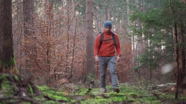Caminante Utilizando Aplicación Móvil Para Navegar Bosque Otoñal Pathfinder Trata — Vídeo de stock
