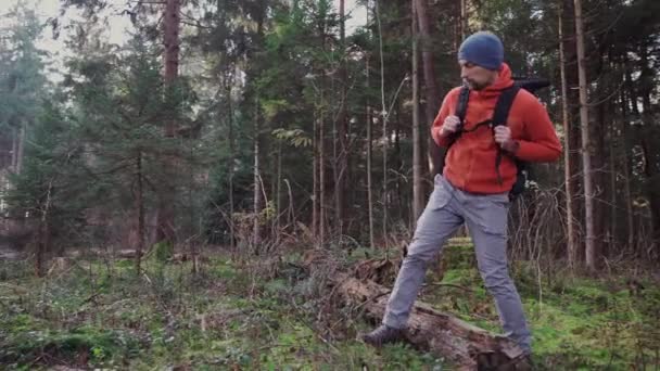 Hombre Aventurero Aire Libre Senderismo Través Bosques Con Mochila Camino — Vídeos de Stock
