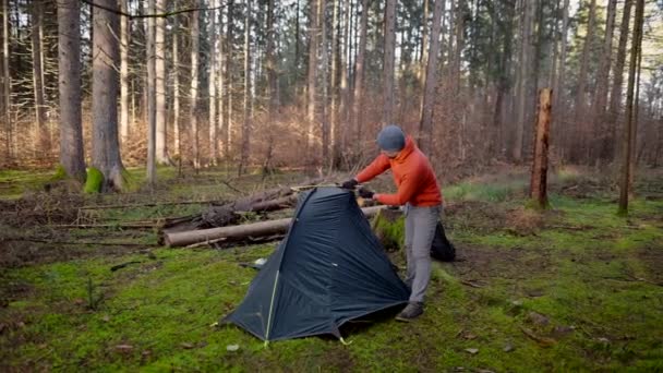 Tourist Makes Camp Woods Sets Tent Meadow Fall Forest Prepares — Vídeo de stock