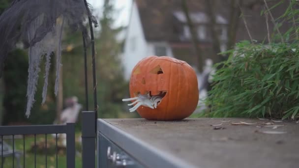 Dekorera Hus För Halloweenfest Pumpa För Att Dekorera Utanför Hemmet — Stockvideo